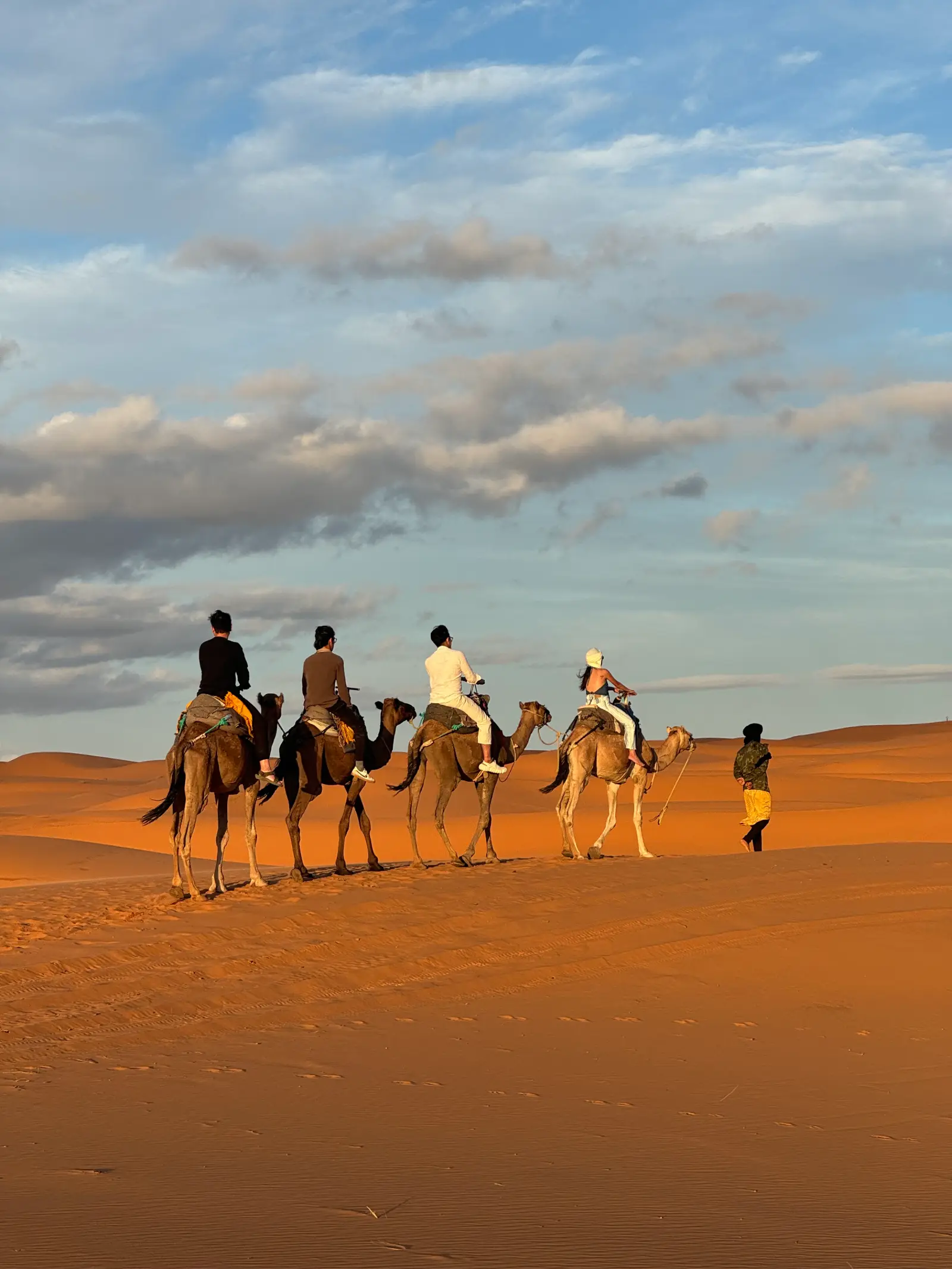 A camel caravan crossing the dunes of Erg Chebbi at sunset